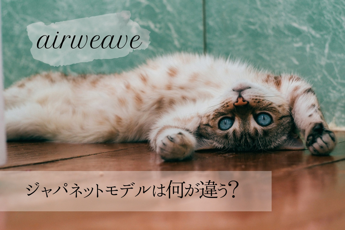 ジャパネットでエアウィーヴを買う前に！違いや安く買う方法を解説 