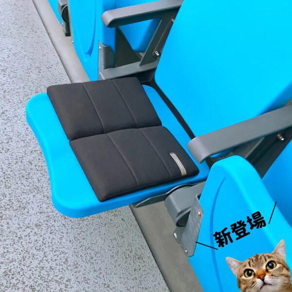 エアウィーヴ　キャリークッション