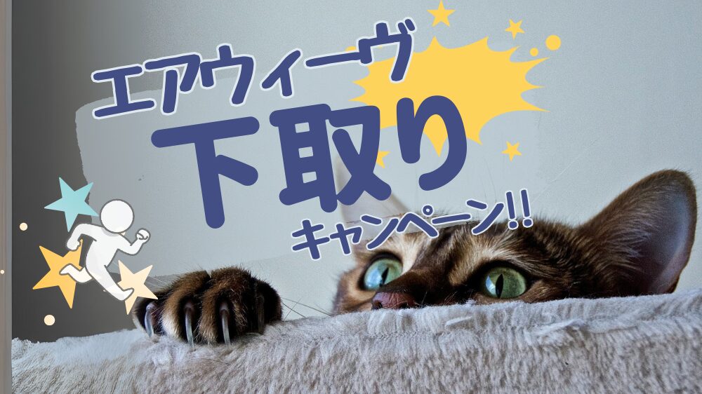 エアウィーヴ下取りキャンペーン【2026年最新】｜最大2万円割引の条件 