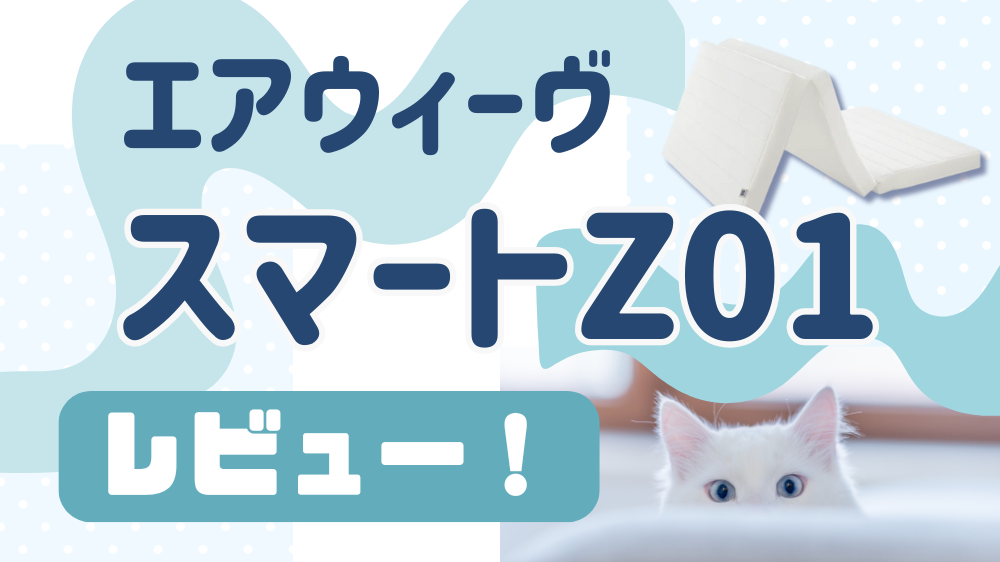 エアウィーヴ　スマートZ01　レビュー